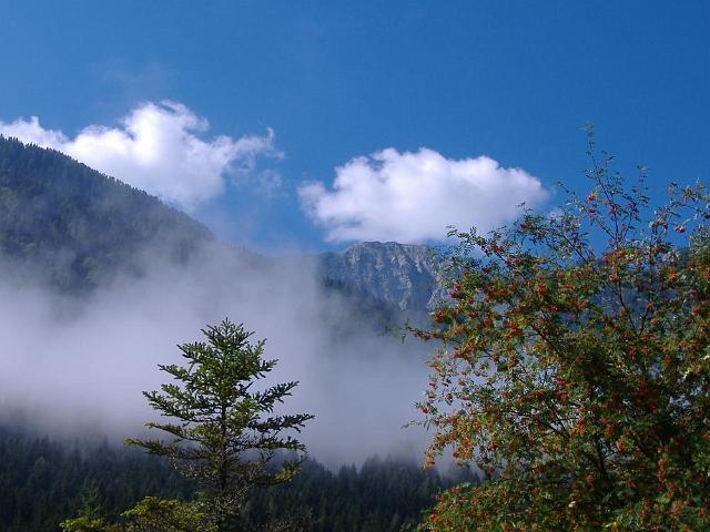 2006 - 050.jpg - Dellach/Drau